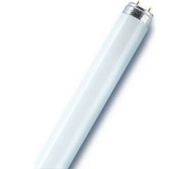 Линейная люминесцентная лампа Osram L 36W/830 25x1 4058075692954 