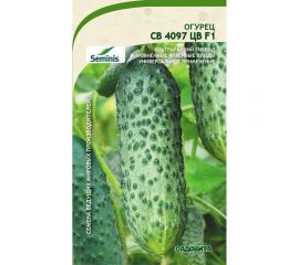 Семена САДОВИТА Огурец СВ 4097 ЦВ F1 5 семечек 00160688 