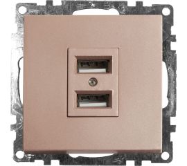 2-местная USB розетка (механизм) STEKKER GLS10-7115-02, 250B, 2,4А, серия Катрин, шампань 39602 