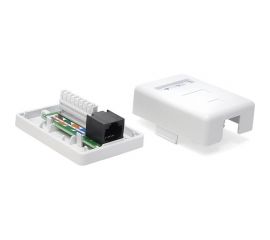 Настенная розетка 1 порт RJ-45, категория 6, белая, TWT-SM1-45/6-WH 
