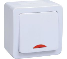 Одноклавишный выключатель IEK ВС20-1-1-ГПБ, с индикацией, для открытой установки, IP54, цвет клавиш белый, ГЕРМЕС PLUS EVMP11-K01-10-54-EC 