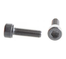 Винт ЦКИ DIN912 М8х25 нерж. A2 100 шт 58811 