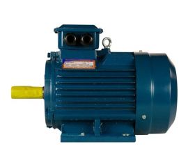 Электродвигатель 5АИ 112 М2 7.6/3000 IM 1081 01.01.214216 