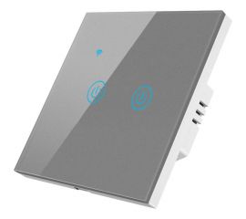 Сенсорный двухкнопочный умный выключатель Roximo серый SWSEN01-2S 
