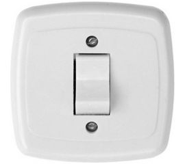 Одноклавишный выключатель ООО Ливны-Электро скрытой установки С1-002 УХЛ 4 белый ВСП 11 