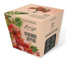 Набор для выращивания растений Тысяча листьев Премиум огненное дерево tl-037 