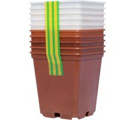 Набор горшков для рассады Ангора 10 шт., по 0.25 л, микс А5513микс 