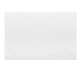 Антивандальные обои под покраску NC 4010-21 