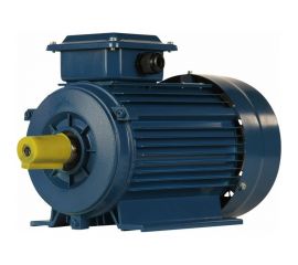 Электродвигатель 5АИ 80 В6 FT100 1.1/1000 IM 2181 01.01.221570 