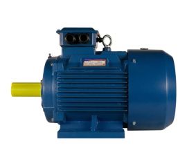 Электродвигатель 5АИ 200 М6 22/1000 IM 1001 01.01.213655 