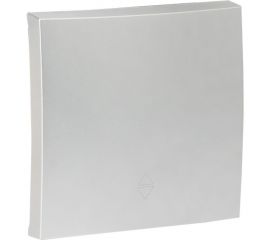 Лицевая панель 1-клавишного выключателя EKF PROxima Валенсия,10А, сталь ESV10-L-021-30 