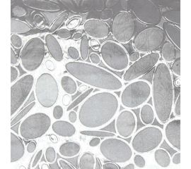 Статическая пленка на стекло Witerra 45x200 см Н1850602 