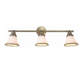 Спот Freya Jasinta FR2272-CW-03-BS 