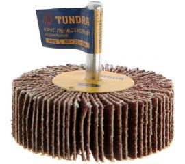 Круг лепестковый радиальный (60х20х6 мм; Р60) ТУНДРА 1875463 