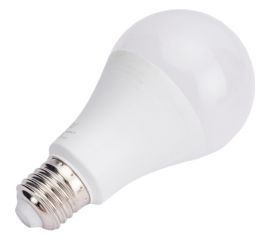 Светодиодная лампа RSV A65-20W-6500K-E27 P 100428 