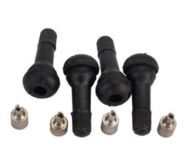 Комплект ниппелей с колпачками для шин Riginal TR14/R15/R16/R17 RG3100002 