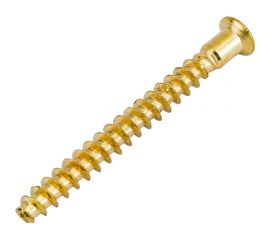 Меб. шуруп-стяжка ЕВРОПАРТНЕР латунир., 5x50 мм, 18 шт. 6 1622 1 