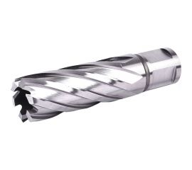 Фреза кольцевая №15 (22х55/88 мм; WELDON19; HSS M2) Профоснастка 40101015 