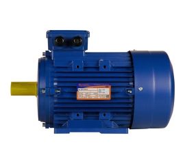 Электродвигатель 5АИ 100 S2 4/3000 IM 1081 01.01.213555 