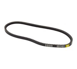 Зубчатый ремень Globelt AVX13x875 HD 