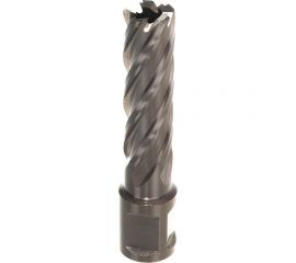Сверло корончатое (16х55 мм; Weldon 19) Karnasch 20.1270U-016 