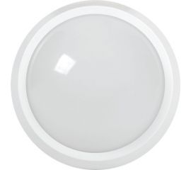 Светильник IEK LED ДПО 5060 24Вт, 4000К, IP65, круг, белый LDPO0-5060-24-4000-K01 