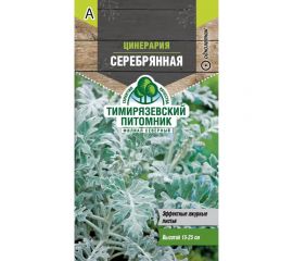 Семена Тимирязевский Питомник цветы цинерария Серебрянная 0.05 г Of000120511 