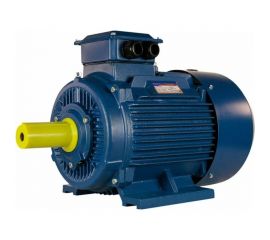 Электродвигатель 5АИ 180 М4 30/1500 IM 1001 01.01.213592 