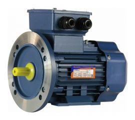 Электродвигатель 5АИ 63 А2 0.37/3000 IM 2081 01.01.213521 