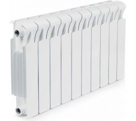 Радиатор RIFAR Monolit 300x10 сек RM30010 