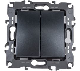 Двойной выключатель ЭРА 12-1104-12 10АХ-250В, IP20, 12, графит Б0019287 