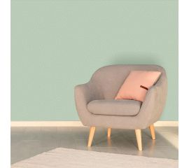 Декоративная штукатурка Paritet Базовое покрытие №4 (мятный; 1 кг) PDLW-B42 