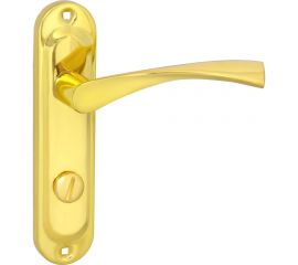 Ручка на планке VETTORE 62.323 WC GP золото 20342 