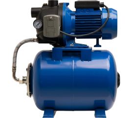 Автоматическая насосная станция Oasis 70/50Р-24 4670004376652 