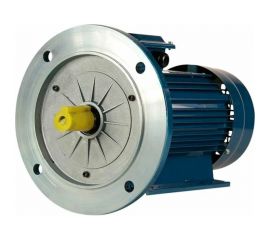 Электродвигатель 5АИ 90 L4 2.2/1500 IM 2081 01.01.213500 