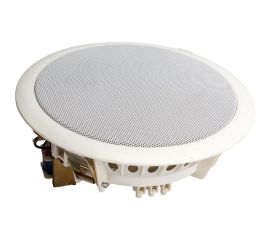 Потолочный громкоговоритель Tantos TSo-PW10a 