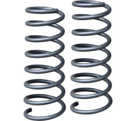 Пружины задние для Renault Duster 2010-2022, Nissan Terrano III 2014+ лифт 20 мм, +50 кг РИФ DUS-315B 