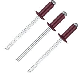 Вытяжная заклепка Daxmer 4,0х10 RAL 3005 307920 