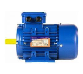 Электродвигатель 5АИ 71 А2 0.75/3000 IM 1081 01.01.213622 