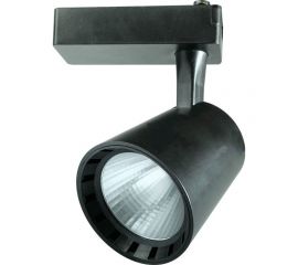 Прожектор Jazzway PTR 0330 30w 4000K 24гр. BL чёрный IP40 5010628 