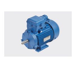Электродвигатель МЭЗ У2-380-50IM1081К31ААА 1Ex db eb llBT4 Gb 4ВР80А4 1,1*1500 1081 
