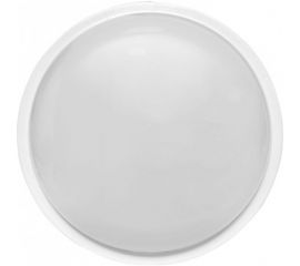 Светодиодный светильник EKF ЖКХ круг ДПО-2006 20Вт 4000K IP65 PROxima BKL-2006-R-20-4000 