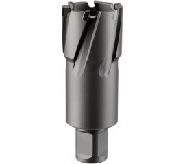 Фреза кольцевая TCT (60x55 мм; Weldon 19) ROTORICA RT.4225060 