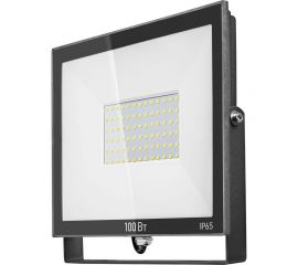 Светильник ОНЛАЙТ OFL-100-6K-BL-IP65-LED 61948 