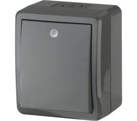 Выключатель с подсветкой ЭРА 11-1402-03 IP54, 10АХ-250В, ОУ, Эксперт, серый Б0020672 