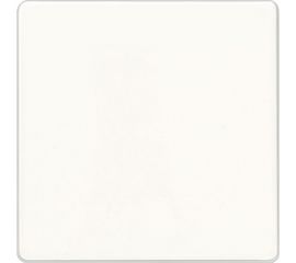 Одинарная клавиша Siemens DELTA LINE белый 5TG6201 