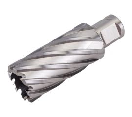 Фреза кольцевая HSS (29x55 мм; Weldon 19) ROTORICA RT.4215029 