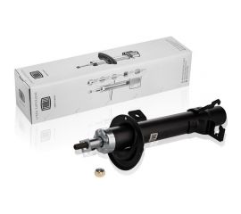 Амортизатор передний правый для автомобиля Ford Fusion TRIALLI AG 10380 