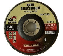 Круг лепестковый плоский (10 шт; 125х22 мм; Р40) SKRAB 35841 