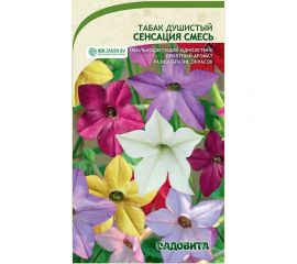 Семена Садовита Табак душистый Сенсация смесь 0.1 г 00208023 